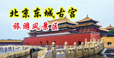 操骚浪受视频国产中国北京-东城古宫旅游风景区